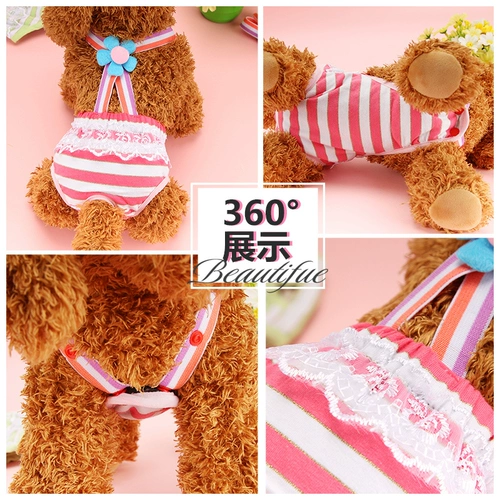 Собаки физиологические штаны Женщина собака Сацума Золотая собака Собака СОБАКА СОБА