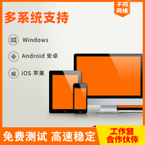 Computer mobile phone network IP Mixing server PPTP switching L2TP address game simulator Soft routing software