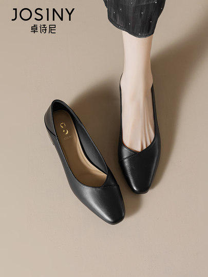 Zhuoshini Women's Leather Shoes 2025 Autumn New French Style Chunky Heel Commuting Shoes Pointed Toe Elegant and Beautiful Shallow Mouth Single Shoes