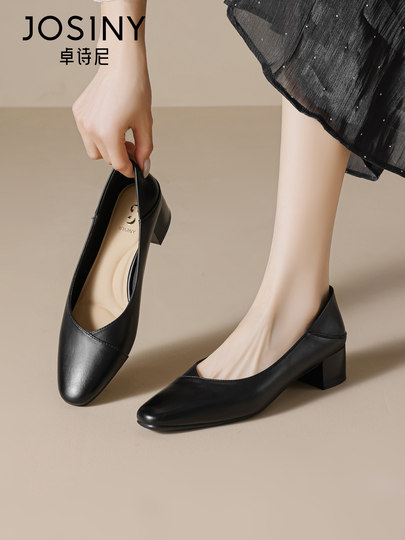 Zhuoshini Women's Leather Shoes 2025 Autumn New French Style Chunky Heel Commuting Shoes Pointed Toe Elegant and Beautiful Shallow Mouth Single Shoes