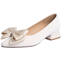 Zhuoshini Mary Jane High Heels Womens 2024 New French Retro Versatile Temperament Thick Heel Single Shoes Gentle and Autumn