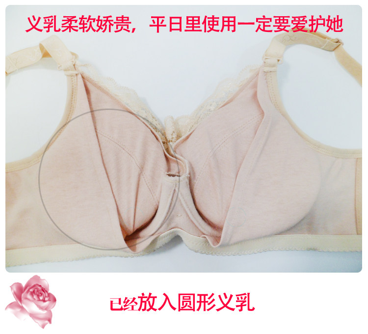 Coques pour soutien-gorge - Ref 816178 Image 24