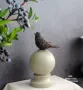Pháp phong cách nước Mỹ retro cũ nhựa giả sắt rèn hiệu ứng trang trí chim tự nhiên phụ kiện trang trí ban công