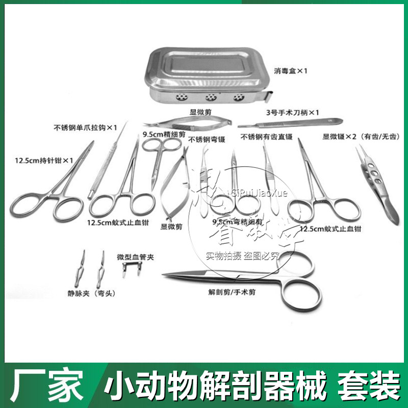 小鼠解剖器械 大鼠解剖器械 老鼠手术解剖器械 小动物解剖器械
