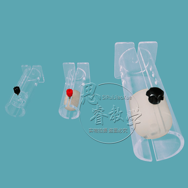 小鼠固定器 小鼠固定筒 老鼠固定器 大鼠固定筒 小鼠尾静脉注射器