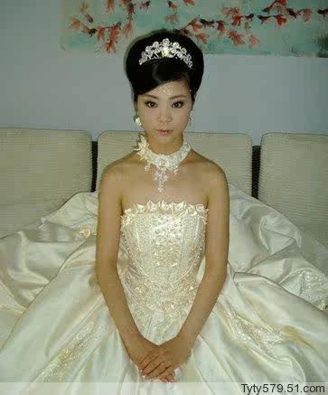 Extension cheveux - Chignon - Ref 238384 Image 13