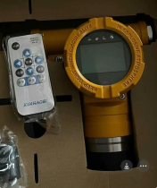 Xinhaus XP3000 combustible gas detector toxic gas detector AEC2232bx2232a