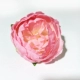 Cao cấp mô phỏng hoa mẫu đơn hoa mẫu đơn lõi hoa mẫu đơn hoa đầu hoa cắm hoa phụ kiện mô phỏng đám cưới hoa tường hoa lụa DIY - Hoa nhân tạo / Cây / Trái cây