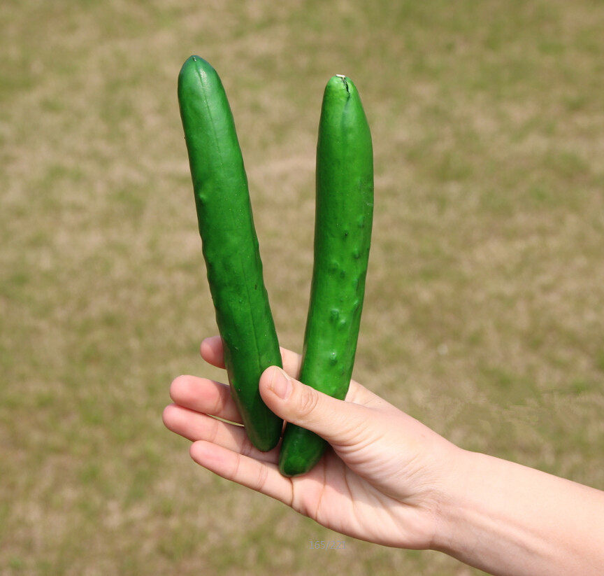 Sword three weeks to death friends and relatives true silk belly cucumbers test friendship, great gift bag Ko Island Three sets of whole people