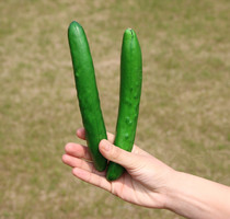 Sword Three Perimeter Dead Relatives And Friends Real Silk Belly Cucumbers Test Friendship Grand Gift Bag of Ko Island Three sets of whole demagoguery