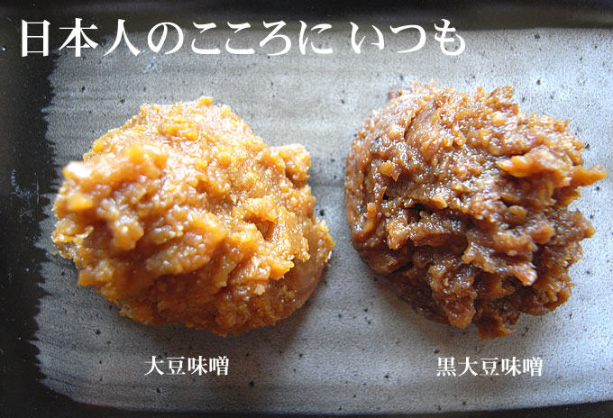 长白菌 <wbr>日本米曲霉 <wbr>种曲20克用于自制盐曲 <wbr>味噌 <wbr>甘酒