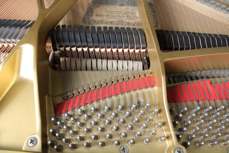 Đàn grand piano nhập khẩu KAWAI RX-1D Nhật Bản (KG-1/2/3 / RX-2/3) đàn piano cho bé