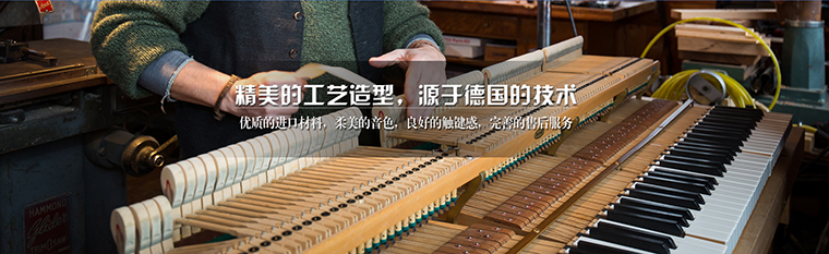Đàn piano Đức Steinmeyer Steinmel SK-2H chordana play