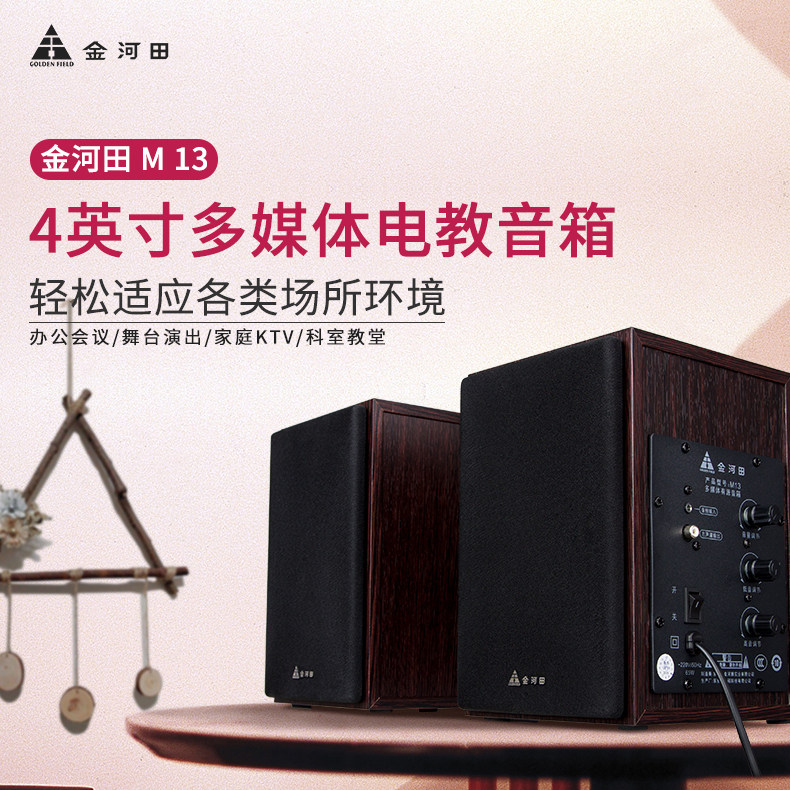Golden Field Jinhetian M13 TV computer mobile phone audio subwoofer wooden wall hanging electric teaching
