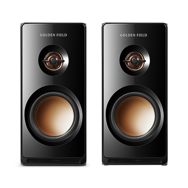 Golden Field Gold Riverfield M102 TV Sound Box Pen Electric Wood Sound Low Sound Cannon Super