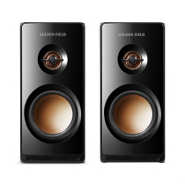 Golden Field Gold Riverfield M102 TV Sound Box Computer Notebook Wooden Sound Low Sound Cannon Super