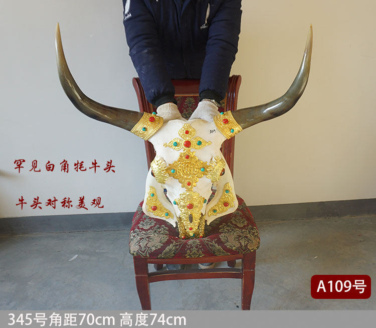 Handmade copper yak skull craft gift decoration Tibetan decorative bull head specimen wall hanging Pure natural bull head gift