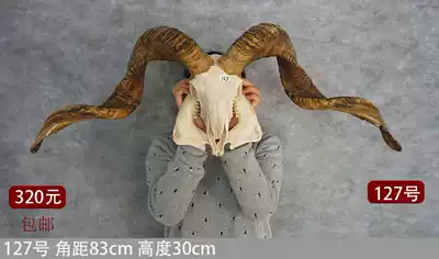 Natural Yak Skull Craft Gift Ornives Sheep Head Ornaments Featured Craft Gift Hanging