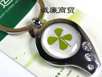 Europa Clover Series 9 Metal Keychain OKH06316