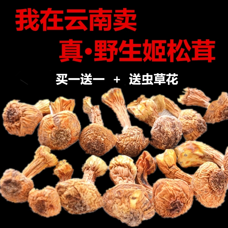 Yunnan Special Produce Ji Pine Furry Dry Goods 500g Edible Mushroom Class Wild Basil Mushrooms Fresh and Mushrooms Fresh
