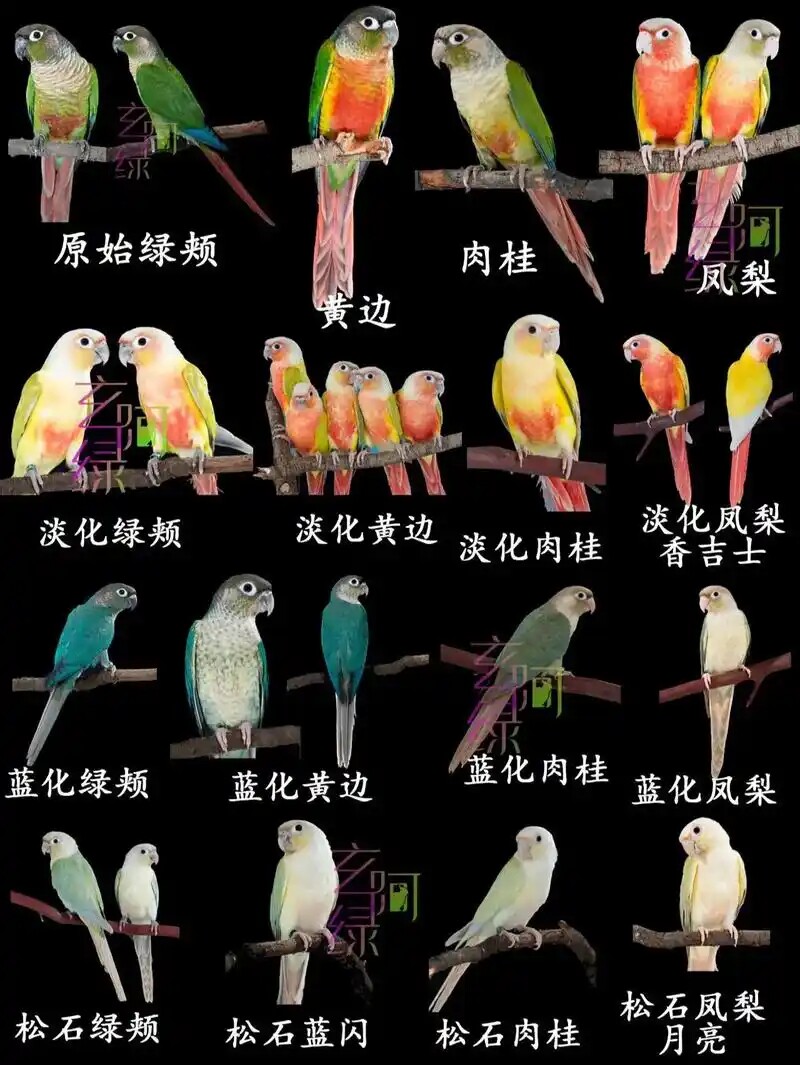 祥盈逸舍