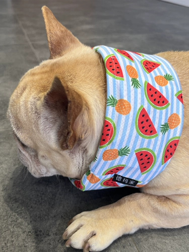 Летний охлаждающий шарф для выхода на улицу, сумка для льда