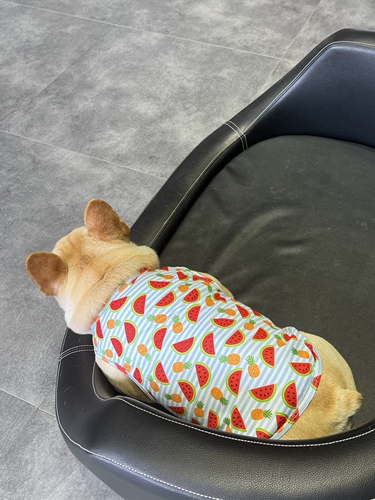 Летний охлаждающий шарф для выхода на улицу, сумка для льда