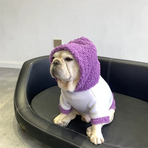 Домашние собаки осень и зимний свитер Фато Бабага Британская боевая одежда Тедди Корки Медведь Чай Плюш Хлопко