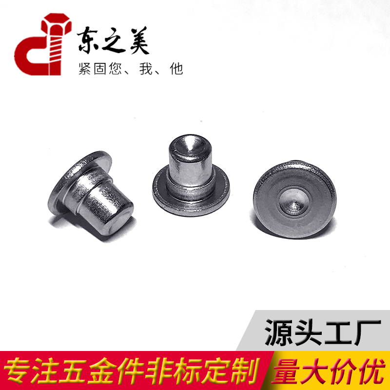 Stainless steel rivet double step solid core hollow core nail hinge door and window construction screw hardware accessories non-standard customization