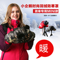  Little Penguin winter outdoor photography Nikon Canon R5 Fuji Sony micro single camera cold cover Down warm cover
