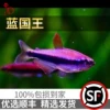 Товары от 草韵水族