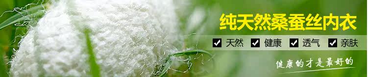 Slip K8033 en soie - Ref 664863 Image 7