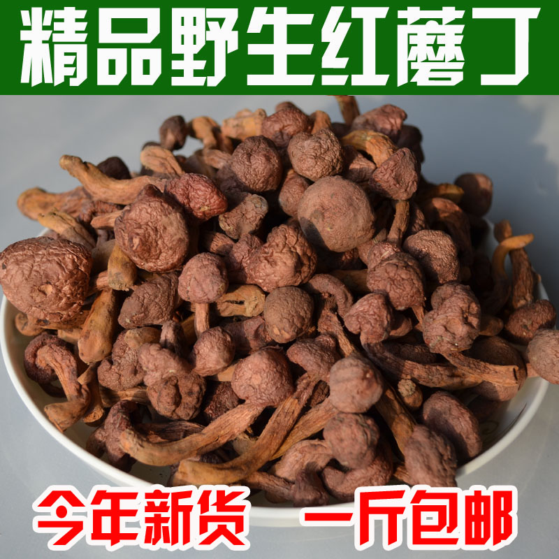New special grade wild red mushroom dried goods pine umbrella pine mushroom chicken blood red mushroom small mushroom head 500g
