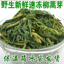 Wild fresh quick-frozen liuartemisia buds in Inner Mongolia without adding tender vegetables 1000g New stock Dipping Sauce