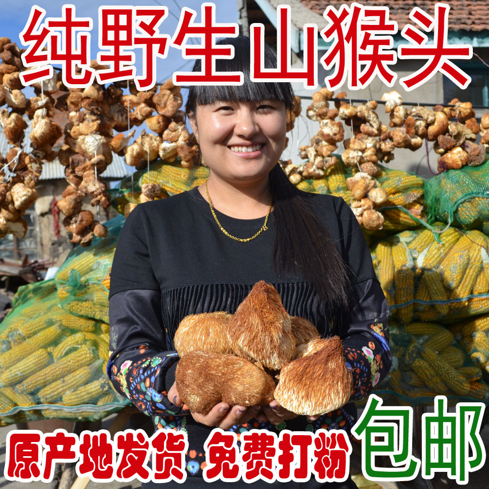 Fresh goods Northeast pure wild Daxinganling special grade lion's head mushroom Tushan goods stomach powder pot soup dried goods 250g