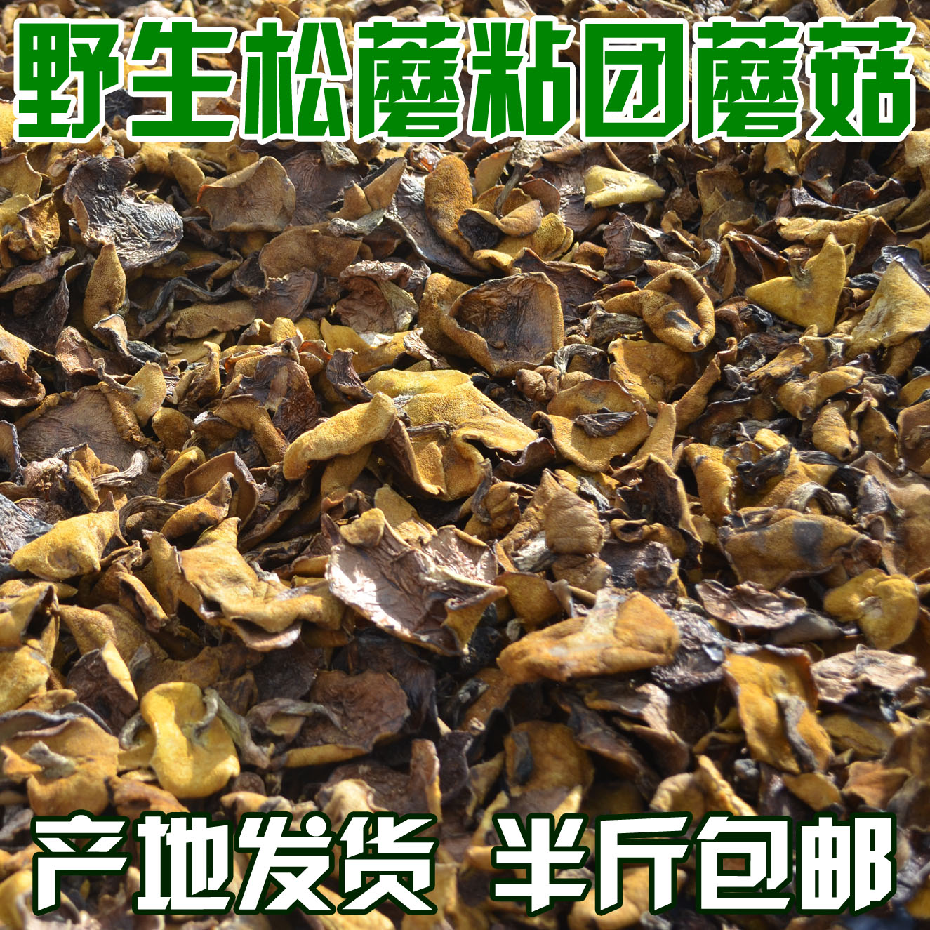 Northeast Daxinganling wild pine mushroom sticky mushroom 250g pine E selected new pine mushroom dried goods