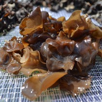 Great Xingan Ridge Special production pure wild fungus 500g dry goods Zhengzong Qianzong Tohoku Mountain wood ear black fungus