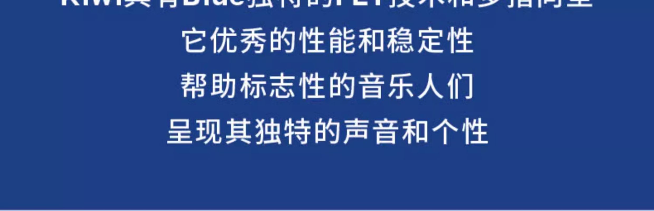 Blue Kiwi专业电容麦克风主播手机直播K歌有声书大振膜话筒