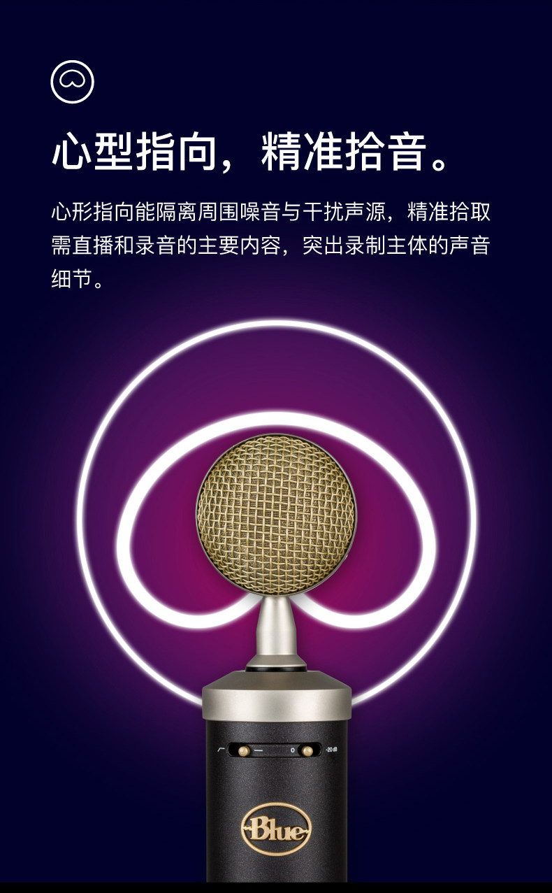Baby Bottle SL 小奶瓶麦克风专业电容直播人声录音直播话筒