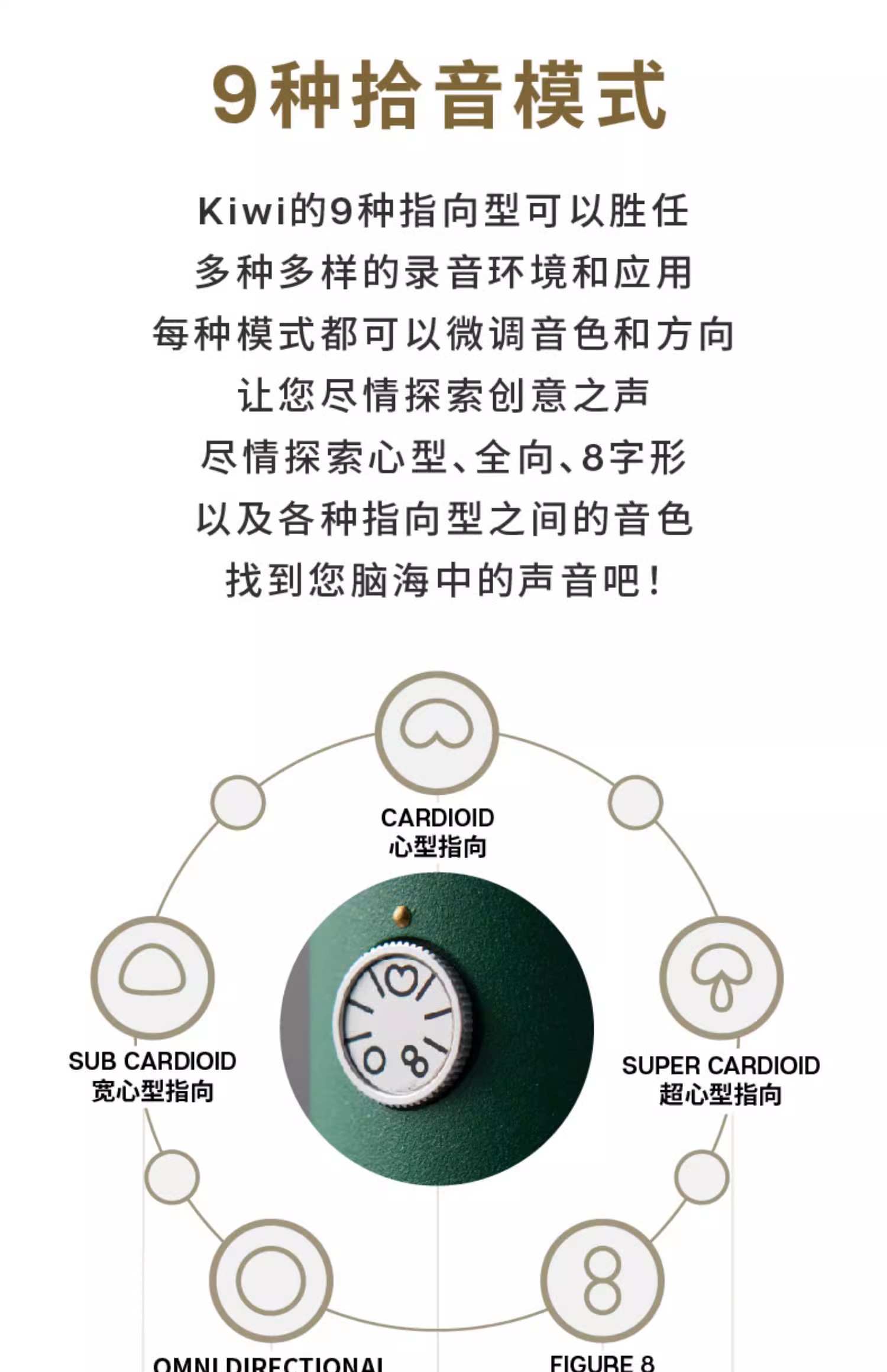Blue Kiwi专业电容麦克风主播手机直播K歌有声书大振膜话筒插图6