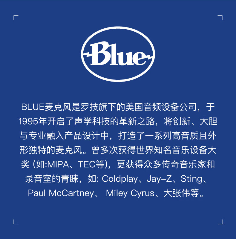 Baby Bottle SL 小奶瓶麦克风专业电容直播人声录音直播话筒