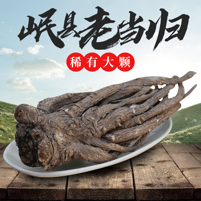 Gansu Minxian Angelica premium wild Chinese herbal medicine whole root 500gg Astragalus Dang Shen whole angelica tablets