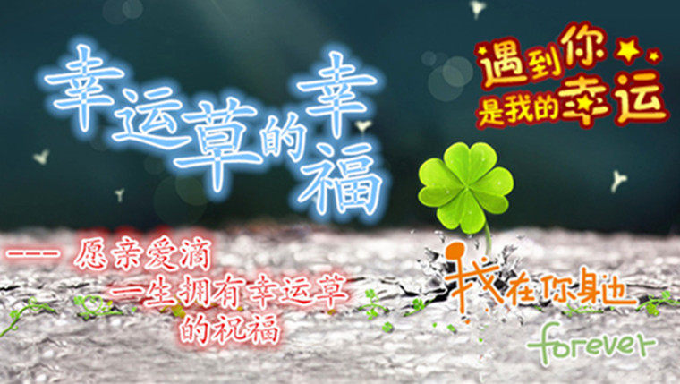 Coques pour soutien-gorge Coaster gouttelettes - Ref 813673 Image 6