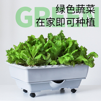 Automatic absorbent vegetable pot flowerpot balcony courtyard removable plastic resin rectangular large flower trough with tray