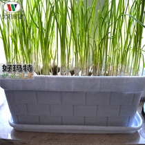 Plastic flower pot balcony planting box rectangular vegetable pot long strip plastic narrow flower pot long flower plate slot