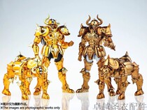 Spot model Saint clothes fighter DDP ratio EX Taurus arudiba belt Saint dress form