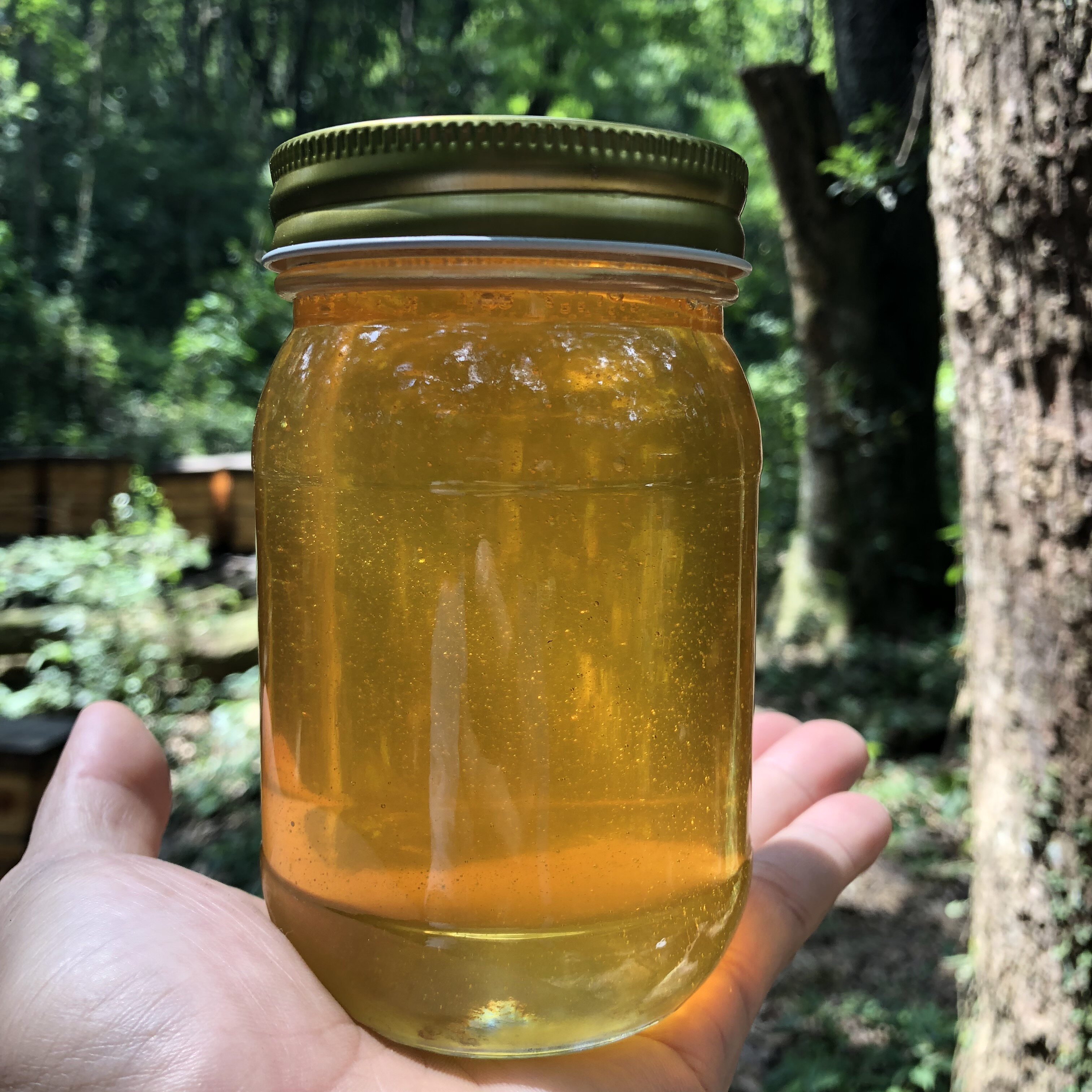 Linden honey Jilin Yanbian Changbai Mountain Linden honey 500 grams this year's harvest price is beautiful 