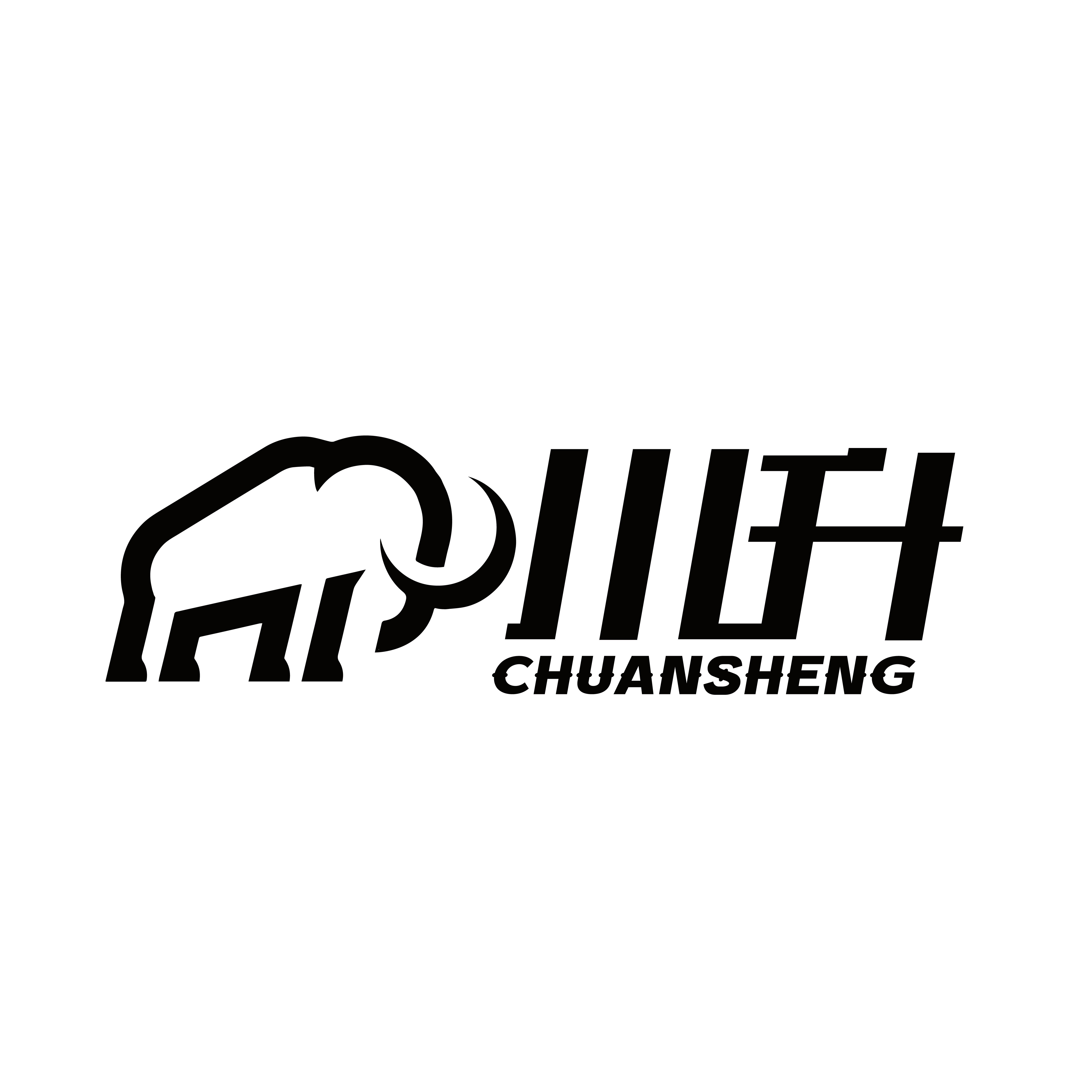 ChonSun川升企业主店的LOGO