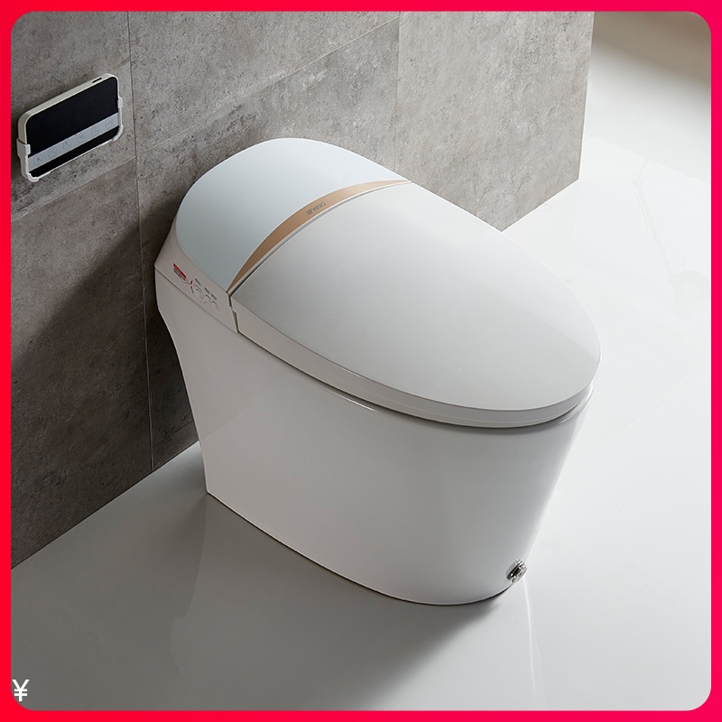 Ying Sanitary Ware Ying brand BS-58 toilet intelligent toilet cover flushing and drying integrated type