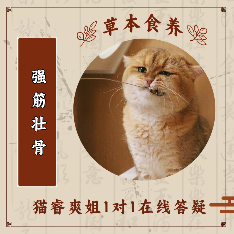 Sister Mao Rui Shuang Recommends Herbal Dietary Supplements for Cats and Pets to Regulate Bones and Joints Sister Mao Rui Shuang Recommends Herbal Dietary Supplements for Cats and Pets to Regulate Bones and Joints